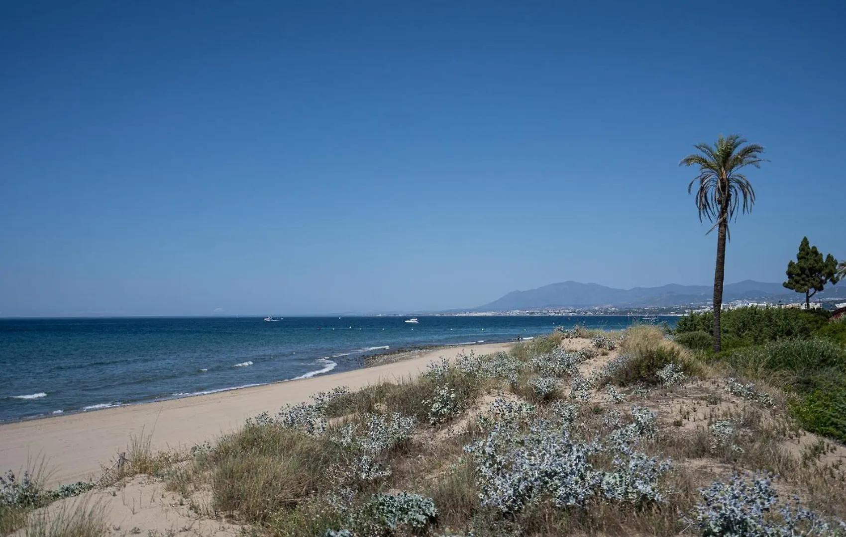 Front-Line Garden Apartment In Palm Beach, Marbella 0*,  Spain